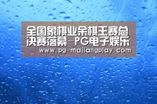 全国象棋业余棋王赛总决赛落幕-PG电子娱乐中心(图1) PG电竞平台